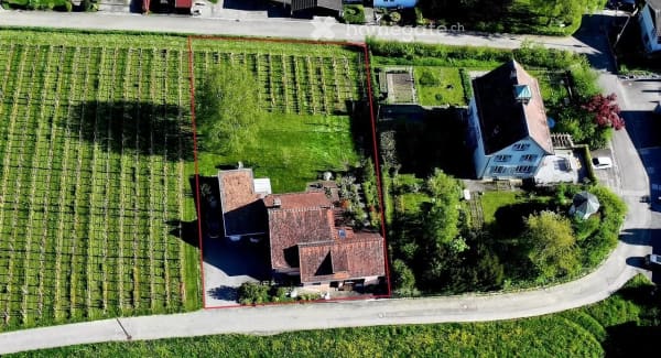 Immobilie in Götighofen - Einfamilienhaus mit traumhafter Aussicht und eigenem Rebberg - Bild 19