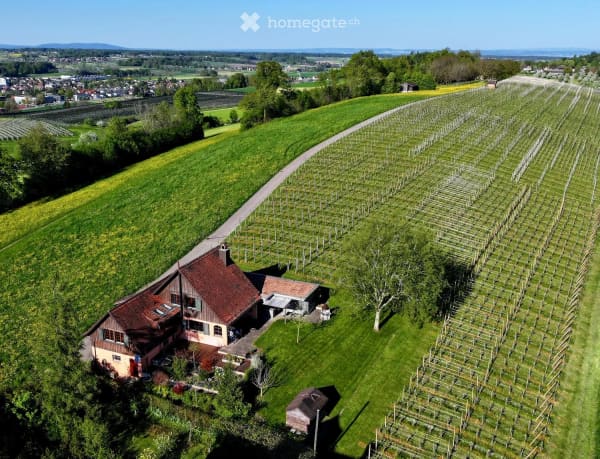 Immobilie in Götighofen - Einfamilienhaus mit traumhafter Aussicht und eigenem Rebberg - Bild 2