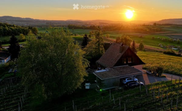 Immobilie in Götighofen - Einfamilienhaus mit traumhafter Aussicht und eigenem Rebberg - Bild 3