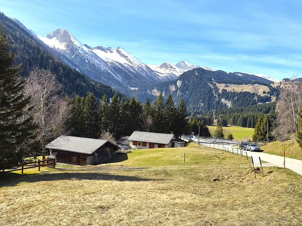 Immobilie in Mesocco - SchÃ¶nes Doppelchalet mit GrundstÃ¼ck in der NÃ¤he von San Bernardino - Bild 49