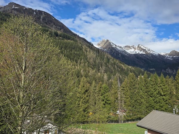Immobilie in Mesocco - SchÃ¶nes Doppelchalet mit GrundstÃ¼ck in der NÃ¤he von San Bernardino - Bild 51