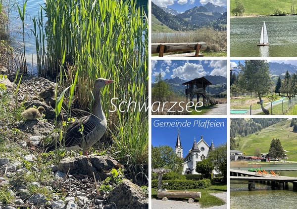 Immobilie in Schwarzsee - Sommer- & Winterhaus "Seeblick" - Bild 1