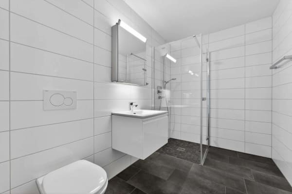 Immobilie in Niederweningen - Moderne 1.5-Zimmer-Wohnung im Erdgeschoss - Bild 4