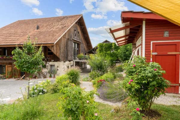 Immobilie in Oetwil Am See - Einzigartiges Wohn- und Praxisgebäude in einer alten Scheune - Bild 11