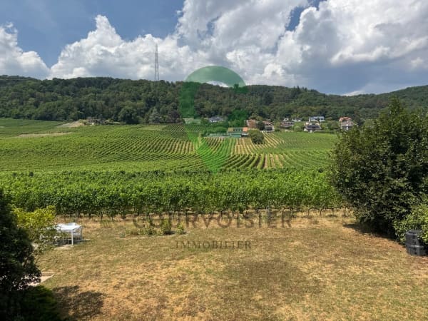 Immobilie in Bursins - BEL APPARTEMENT DE 4,5 PCES, VUE LAC ET ALPES PROCHE DES COMMODITES - Bild 12