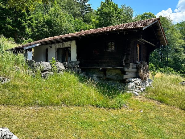 Immobilie in Gündlischwand - Diverse Nebengebäude Hotel mit 8 Zimmern, Garagen, Chalet, alte Käserei, Eventlocation, Bauland etc - Bild 17