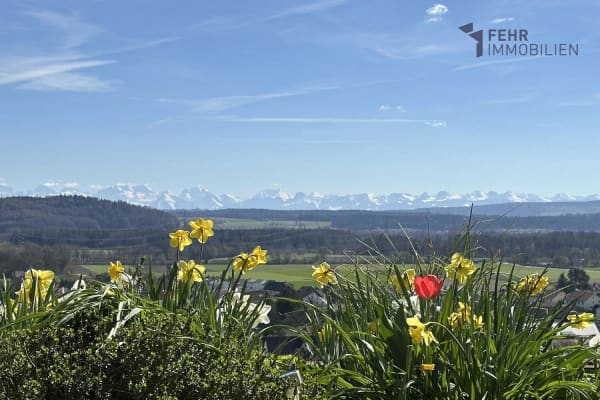 Immobilie in Safnern - Fehr Immobilien - 5.5-Zi.-Terrassenhaus mit herrlicher Aussicht - Bild 0