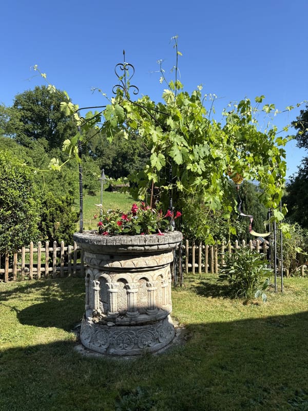 Immobilie in Gressy - Rare : 2 maisons avec solaire + pompe à chaleur · piscine · 5 min Yverdon - Bild 2