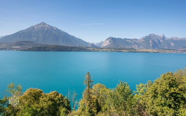 Immobilie in Gunten - ImmoWyss -  Wohnen über dem Thunersee mit traumhafter Panoramasicht - Bild 2