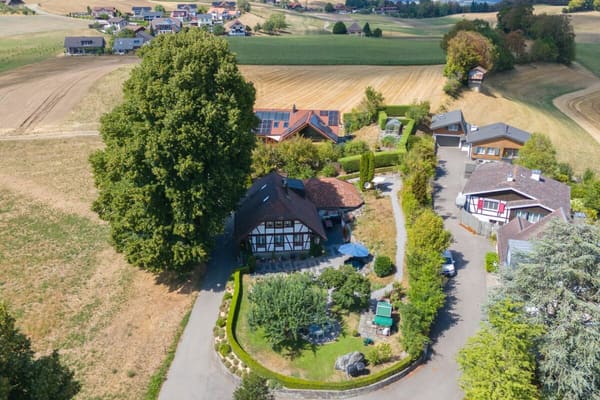 Immobilie in Belpberg - Taunerhaus mit baubiologischer Substanz und Gartenparadies - Bild 13