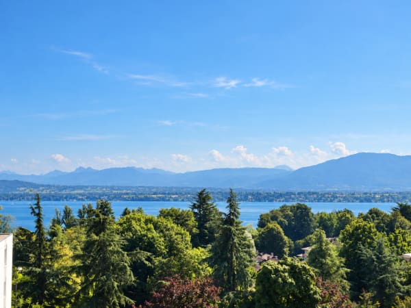 Immobilie in Versoix - Appartement de 6 pièces avec belle vue sur le lac - Bild 12