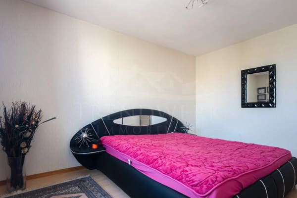 Immobilie in Wünnewil - Ruhiges 6-Zimmer-Reiheneinfamilienhaus mit Pool & Garage in Wünnewil - Bild 5
