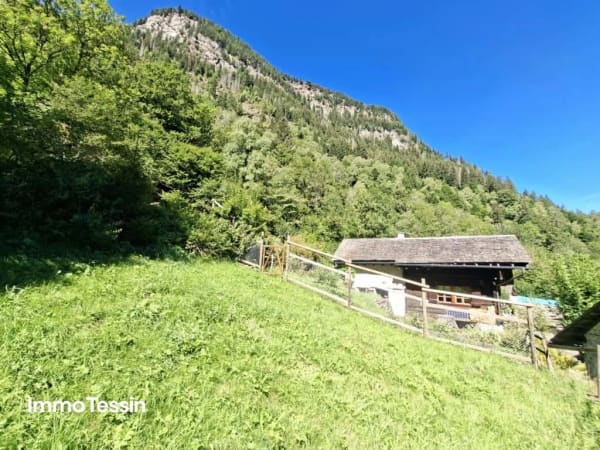Immobilie in Rossa - Ein wahres Alpenparadies: Authentisches und saniertes Rustico & ein unabhÃ¤ngiges Atelier und 3 Parzellen voller Freiheit auf 11000 m2 Grund - Bild 0
