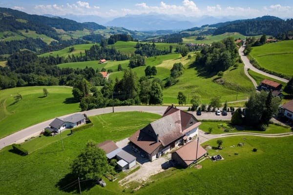 Immobilie in Gibswil - GemÃ¼tlich Leben und Geniessen mit Bergsicht in der Gemeinde BÃ¤retswil - Bild 2