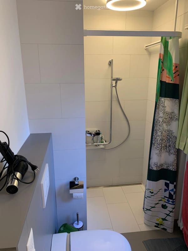 Immobilie in Dottikon - GrosszÃ¼giges Einfamilenhaus auf 833 mÂ² | weitlÃ¤ufiger Privatgarten | Alpenpanorama - Bild 5