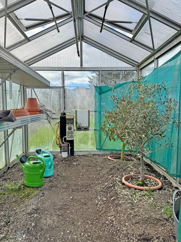 Immobilie in Thunstetten - ...grosses Haus, herrlicher Garten, erweiterbar auf 7.5 Zimmer... - Bild 23