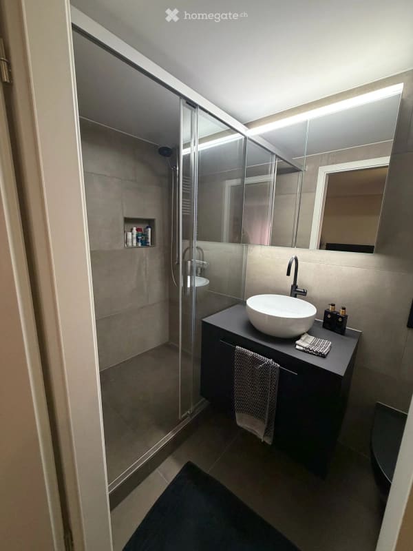 Immobilie in Birrhard - Modern saniertes Einfamilienhaus mit mediterranem Flair – ruhige Lage am Waldrand - Bild 25