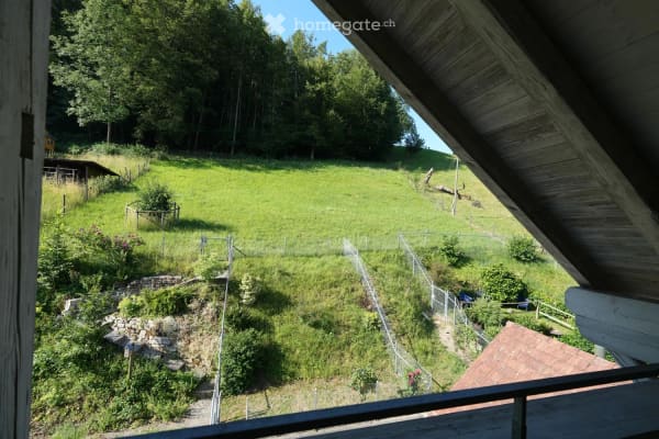 Immobilie in Trüllikon - Reiheneinfamilienhaus in Trüllikon - Bild 4