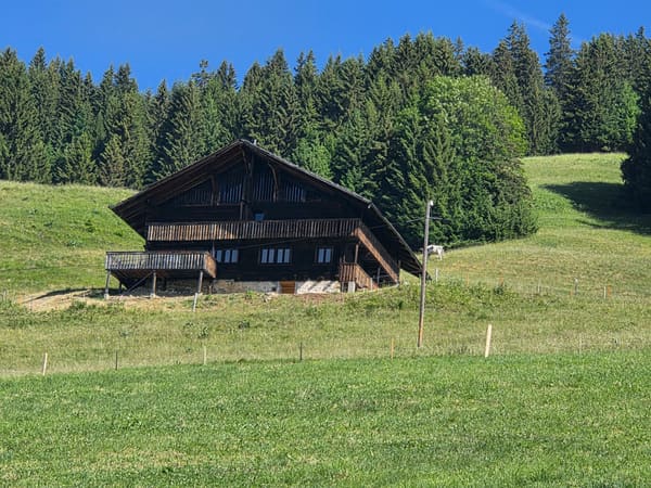 Immobilie in Morgins - CHALET AUTHENTIQUE - Bild 0