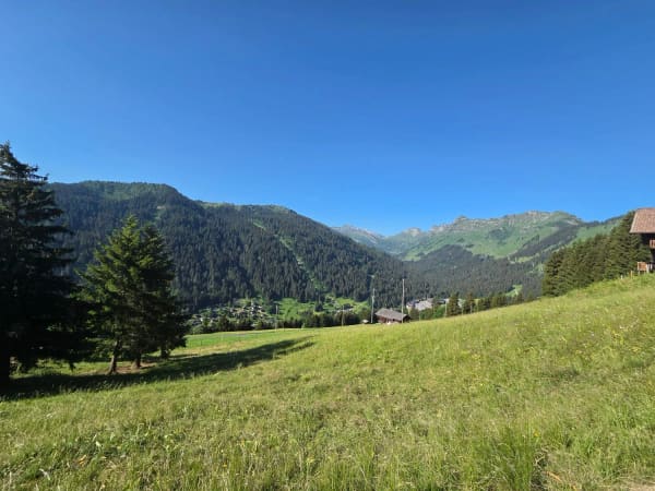 Immobilie in Morgins - CHALET AUTHENTIQUE - Bild 1