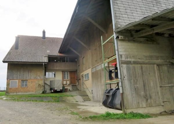 Immobilie in Dägerlen - Landwirtschaftliches Anwesen mit Bauernhaus, div. Ökonomiegebäude und Wiesland , mit viel Potential - Bild 10