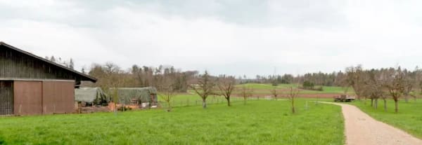 Immobilie in Dägerlen - Landwirtschaftliches Anwesen mit Bauernhaus, div. Ökonomiegebäude und Wiesland , mit viel Potential - Bild 17