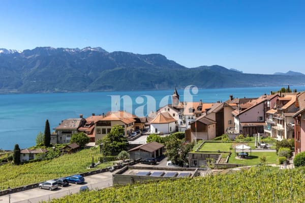 Immobilie in Rivaz - Maison villageoise de charme avec appartement de 3.5 pièces et une place de parc à vendre à Rivaz - Bild 2