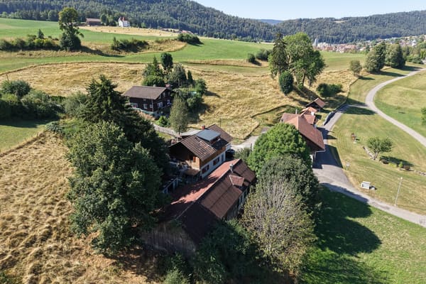 Immobilie in Tavannes - Rustikales Bauernhaus in Tavannes â€“ Altbau-Juwel mit grossem GrundstÃ¼ck - Bild 4