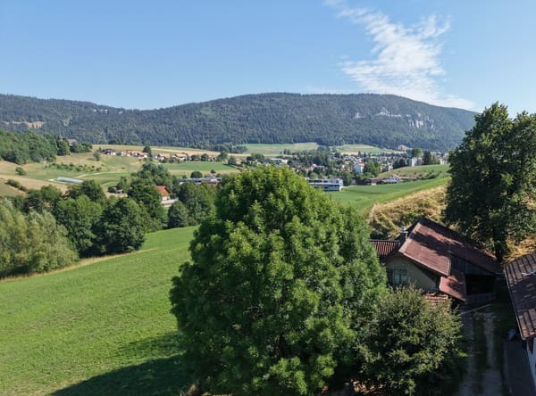 Immobilie in Tavannes - Rustikales Bauernhaus in Tavannes â€“ Altbau-Juwel mit grossem GrundstÃ¼ck - Bild 5