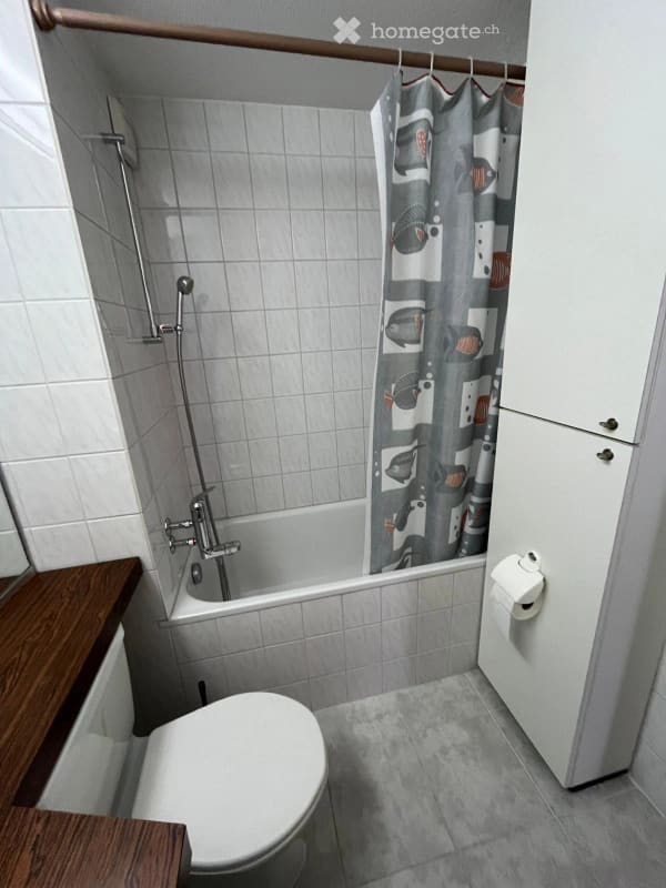 Immobilie in Disentis/mustér - Charmante, sonnige 2.5-Zimmer-Wohnung in Disentis/MustÃ©r mit direktem Zugang zur Skipiste - Bild 11