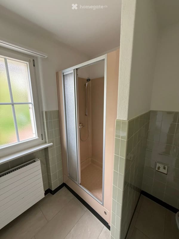 Immobilie in Hünibach - Freistehendes Einfamilienhaus mit 3 Garagen und fantastischer See- und Bergsicht in Hünibach - Bild 14