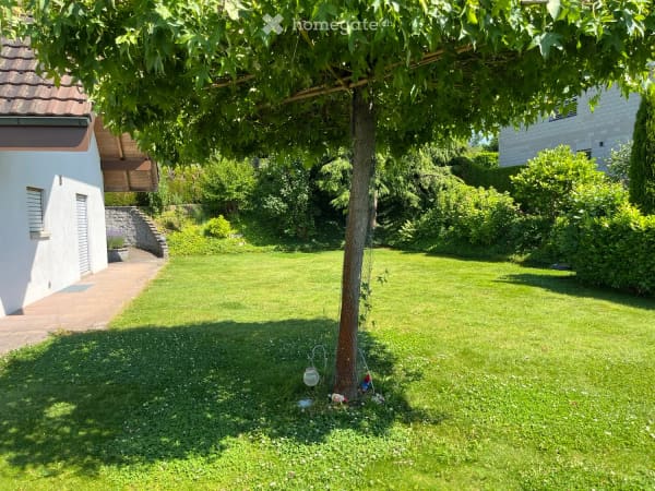 Immobilie in Schöftland - Einfamilienhaus in Schöftland - Bild 20
