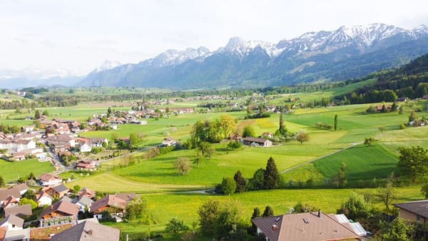 Immobilie in Wattenwil - Ein- oder Zweifamilienhaus mit traumhafter Aussicht - Bild 6