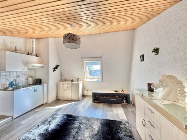 Immobilie in Dachsen - Einfamilienhaus-HÃ¤lfte mit Gemeinschaftspool - Bild 5