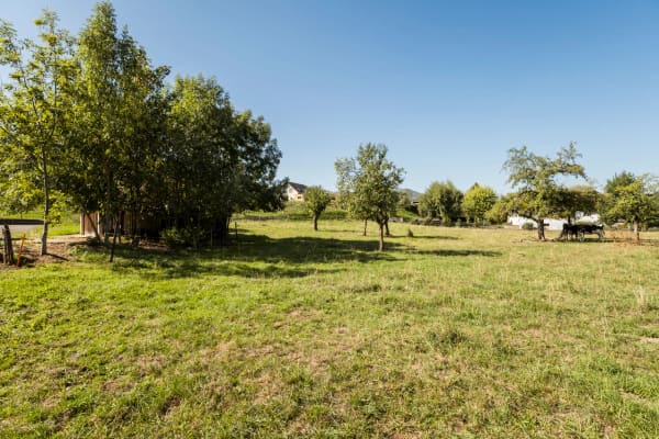 Immobilie in Courchapoix - Corps de ferme avec habitation, Ã©curie, stabulation - Bild 11