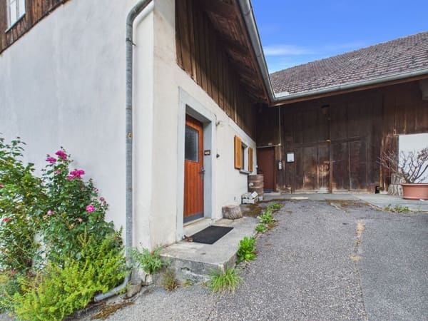Immobilie in Lostorf - Seltene Gelegenheit: Wohnhaus mit Ökonomieteil und Baulandreserve auf 1'752 m² in Lostorf - Bild 10