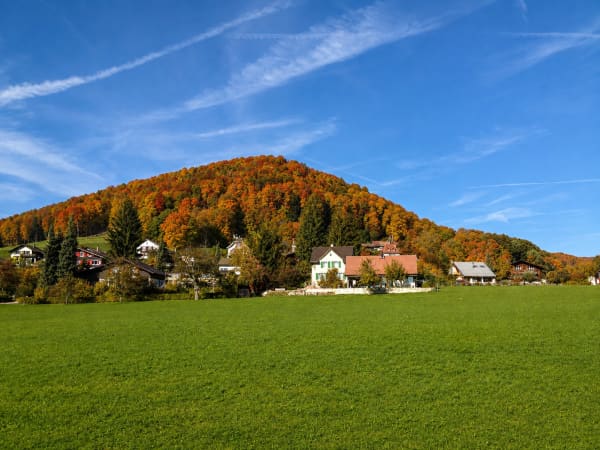 Immobilie in Langenbruck - 3½ Zi.-Maisonettewohnung im EG und 1.OG mit Balkon inkl. Garage und Aussenparkplatz - Bild 10