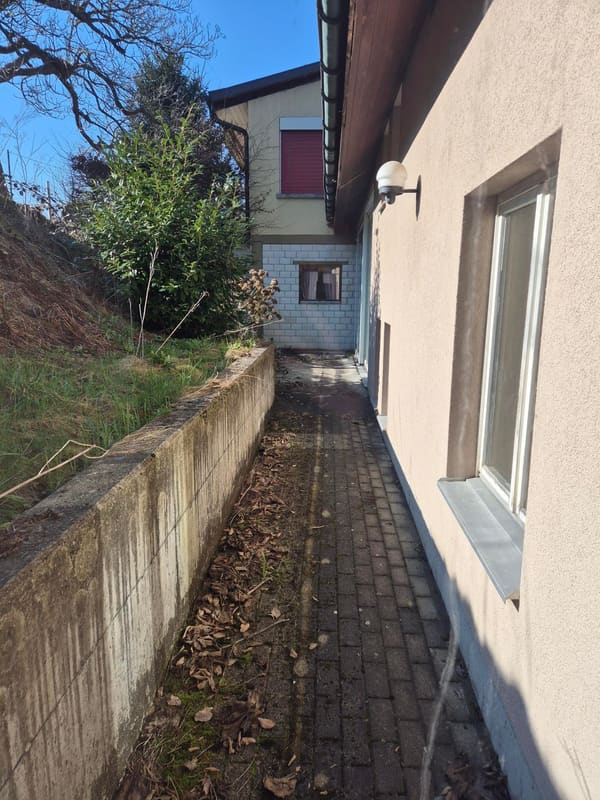 Immobilie in Kestenholz - Mehrfamilienhaus mit 5 Einheiten in Kestenholz und Baulandreserve - Bild 9