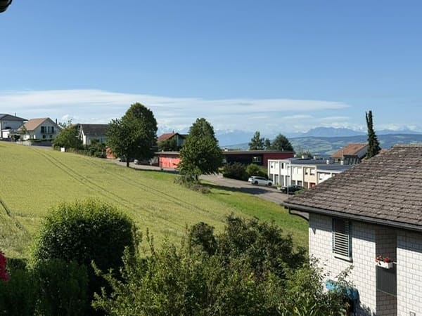 Immobilie in Bellikon - 5,5 Zimmer-Reihenhaus mit unverbaubarer Weitsicht an ruhiger, sonniger Lage - Bild 0
