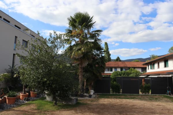 Immobilie in Kappel So - 4.5-Zimmer-Eckhaus mit grossem Umschwung und privater Gartenoase! - Bild 0