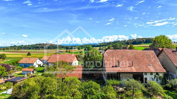 Immobilie in Vesin - Ferme rénovée de caractère avec fort potentiel constructif - Bild 0