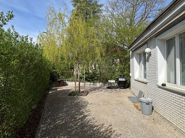 Immobilie in Subingen - 3-Familienhaus am Dorfbach - Bild 1