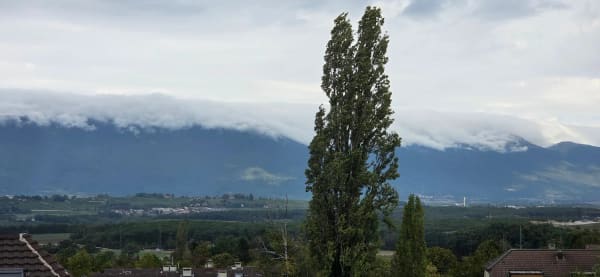 Immobilie in Bernex - Superbe appartement en attique de 7.5 pièces à Bernex - Bild 1