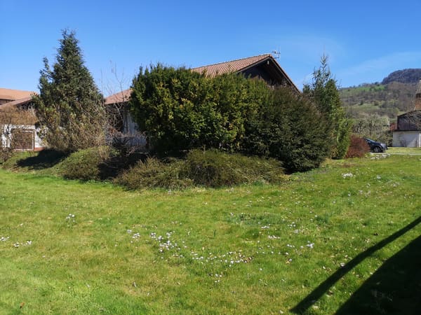 Immobilie in Mervelier - Baisse de prix : maison 5.5pces, env. 120m2, terrain 802m2, avec garage, places de parc, terrasse - Bild 4
