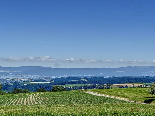 Immobilie in Lovens - Belle propriété proche de Fribourg en bordure de terrains agricoles - Bild 0