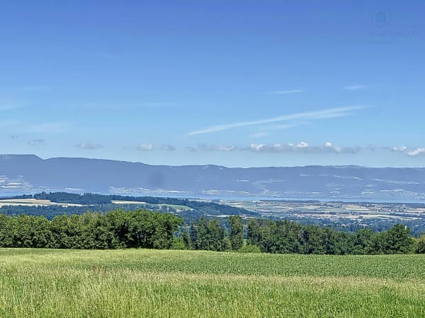 Immobilie in Lovens - Belle propriété proche de Fribourg en bordure de terrains agricoles - Bild 1