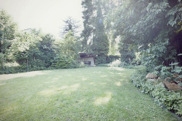 Immobilie in Gelterkinden - Grosszügiges Einfamilienhaus mit Gewerberäumen - Bild 11