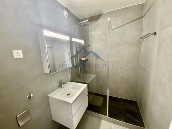 Immobilie in Le Lignon - 6 appartements en vente en bloc - Bild 8