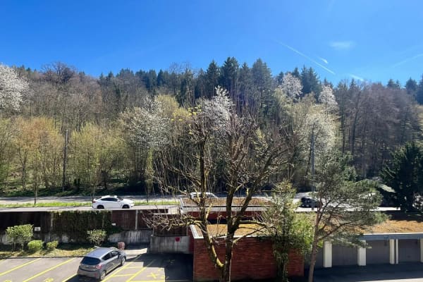 Immobilie in Baden - Wohnung mit Balkon mit Sicht ins GrÃ¼ne nahe dem DÃ¤ttwiler Weiher - Bild 1