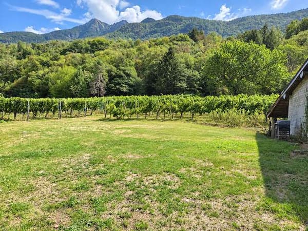 Immobilie in Camorino - Casa di nucleo con grande giardino - Bild 2